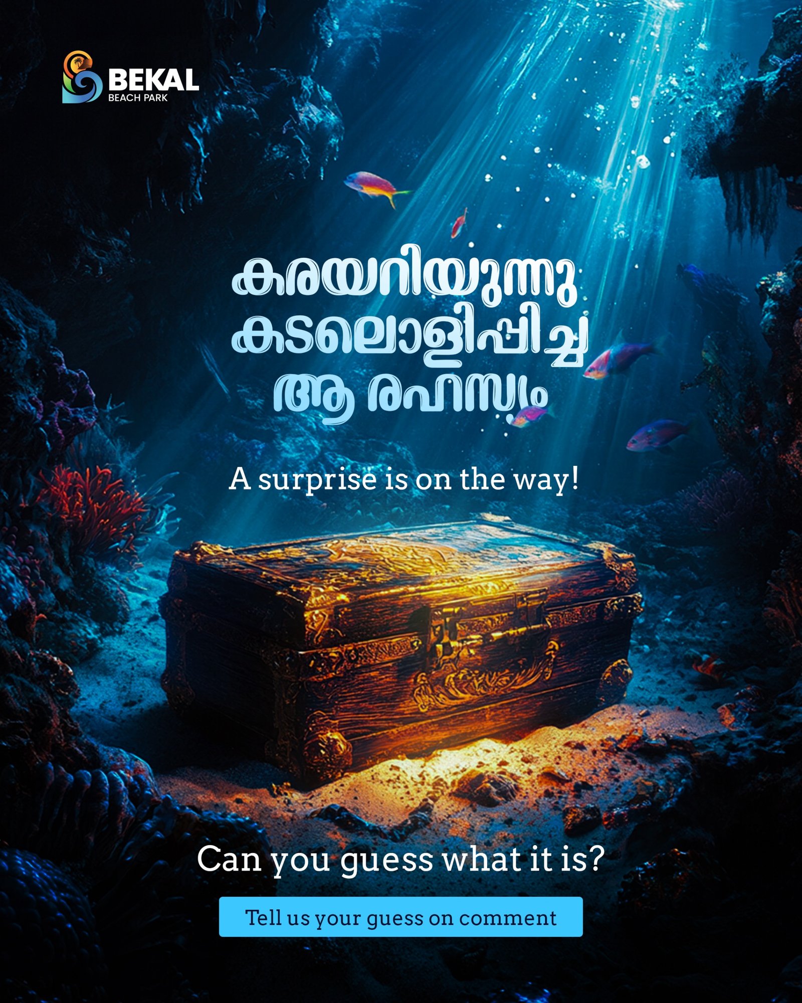 WhatsApp Image 2025-03-19 at 5.50.06 PM